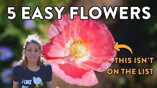 The 5 EASIEST Flower Seeds You Can Start for Zones 9 & 10