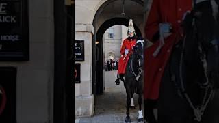 Behind the Bollards Pls..#royalguard #royalhorseguard