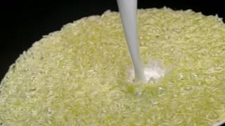 Abirami Basmati Rice -Nitin Tandon Food Styling & Consulting