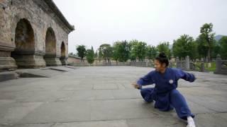 WuDang Xuan Wu Quan--Cai Zhou Wu