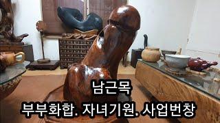 [공방]남근목 (대추나무)/부부화합/자녀기원/사업번창/사과수확 브이로그.