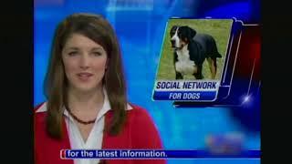 Is It Time For Dogs To Have A Social Network Of Their Own    CONAN on TBS   YouTube