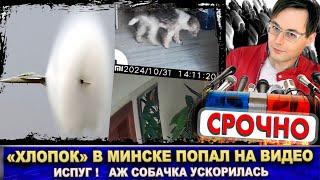 «Хлопок» в Минске попал на видео. От громкого звука собачка аж ускорилась. Сверхзвук самолёта