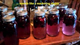  How To Make Easy Homemade Wine  Making Blackberry Wine