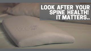 Your spine matters | Here's how our Lumbar support spine pillow can help | The White Willow