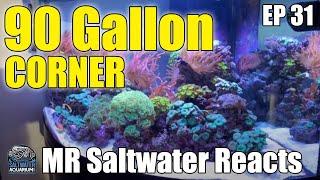 BEAUTIFUL 90 Gallon Corner Softy Saltwater Aquarium - Mr Saltwater Tank Reacts