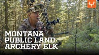 Montana Public Land Archery Elk | On the Hunt with Janis Putelis