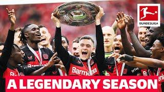 Invincible! Best of Leverkusen's Perfect Season!