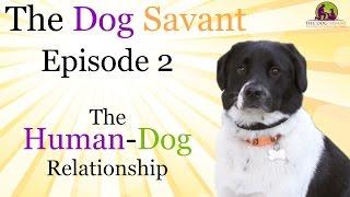 Human-Dog Relationship - The Dog Savant: Episode 2 | Dog Training Techniques & Tricks - Brett Endes