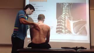 Rhomboid: Manual Therapy, Palpation and Stretch