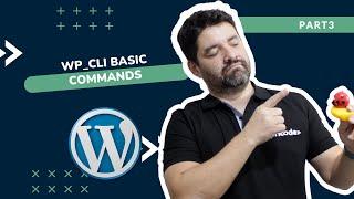 WordPress Development - WP-CLI  basic commands