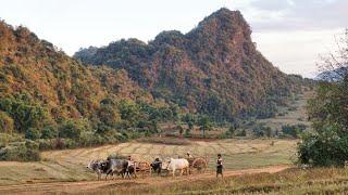 Myanmar Rural Life - Between Kalaw and Inle Lake
