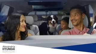 Alexandria Hyundai Summer Sales Event | Test Drive Today