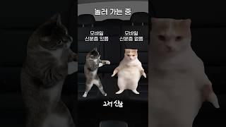 [장르만뉴스] 반려동물호텔, 유치원에서 프리패스 하는 법