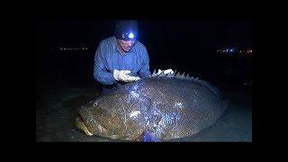 Accidently Catching A Goliath Grouper - River Monsters