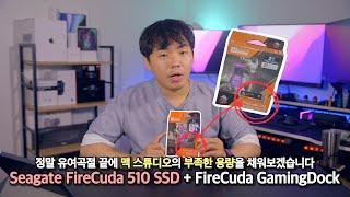 난 그냥 맥 스튜디오 용량을 늘리고 싶었는데 이렇게까지 고생해야하나 | Seagate FireCuda 510 SSD + FireCuda Gaming Dock