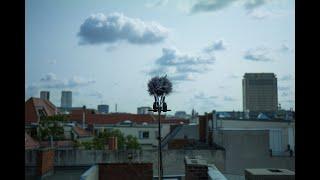 Die Therapie - Permanentes Echo | Roof Top Session (HD)