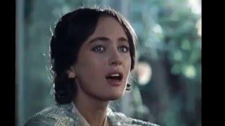 НЕ ВИНОВАТ   автор ИРИНА ЧЕРНЫХ