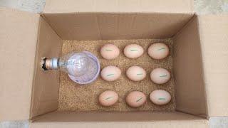 How to make a home incubator at home from a paper box