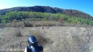 ONE SHOT WILD BOAR KILL/Лов на Диви прасета България / Wild Boar Hunting Bulgaria