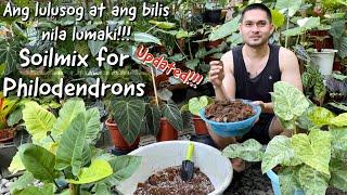 SOILMIX PARA SA MALULUSOG NA PHILODENDRONS | PHILODENDRON SOILMIX | BECHOY VLOG