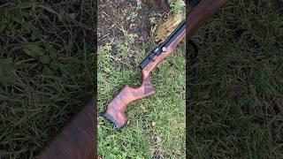 The Reximex Lyra: Airgun of the Year contender! #ReximexLyra #Airgun #GunOfTheYear