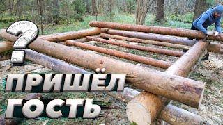 Строительство избы идёт полным ходом | ЛЕСНОЙ ДОМ | ЗЕМЛЯНКА | ИЗБА | FOREST HOUSE | DUGOUT | HUT