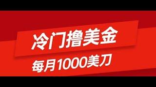 【完整教程】冷门撸美金项目：只需无脑发帖子，每月1000刀，小白轻松掌握 | 老高项目网