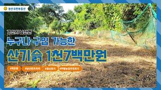 경산시 남산면 1700만원의 행복 주말농장 추천 / 텃밭놀이터 급급매