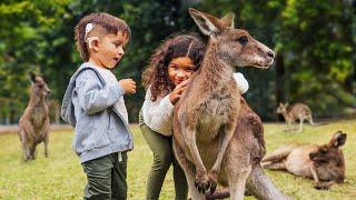 Our Kids Got Surrounded by Kangaroos in Australia!!!