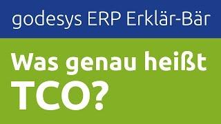 ERP Erklär-Bär: Was heißt TCO? - Das godesys ERP Lexikon