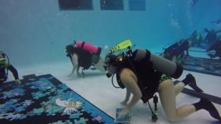 Scuba for Diabetes 2016-2