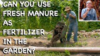 Is Fresh Manure Good Fertilizer for the Garden? - FHC Q & A