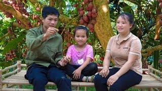 The process of happy family together - Harvest fruit, Build a wooden house on a new farm