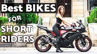 Best Motorcycles for Short Riders | Collab with @DoodleOnAMotorcycle