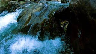 Serene River Ambience | ASMR Water Sounds for Mindful Relaxation