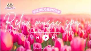 Relaxing Sleep Music No Ads | Meditation, Healing, Calm, Stress Relief,  無廣告 釋放壓力  冥想放鬆，快速入眠，身心靈療癒