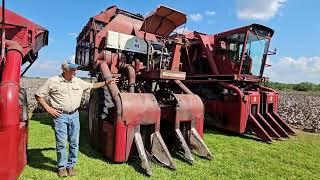 IH cotton pickers in the field - 14A, 416, and 782