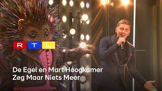 De Egel en Mart Hoogkamer mixen Engels en Nederlands in Hazes nummer | The Masked Singer