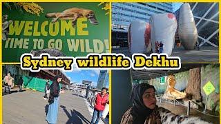 Explore Sydney Wildlife mery sath ghar bethy dekhu lunch 1915 Parramatta Westfield