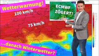 Schwere Sturmböen an Silvester und Neujahr! ECMWF zögert mit Einwinterung - GFS deutlich forscher!