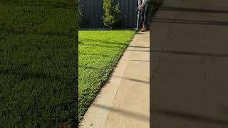 Lawn Edging! #shorts #lawn #lawnmaintenance #lawncare #shortsvideo #turf #grass