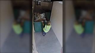 Video Shows Waste Management Workers Trying to Frame Customer by Overloading Dumpster