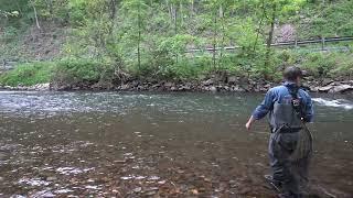 Catching a Wild Trout after changing weight