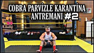 CobraParvizle Kickboks dersleri #2