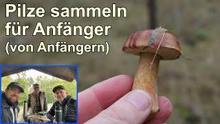 Pilze sammeln für Anfänger. Unterwegs in Brandenburg.