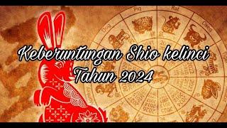 Shio Rabbit's luck in 2024 #shio #shiokelinci #wiwikaru