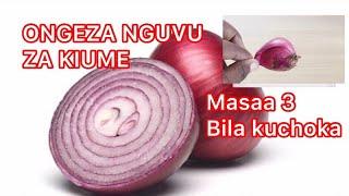 ONGEZA NGUVU ZA KIUME | masaa 3 Bila kuchoka | WANAUME TU HII