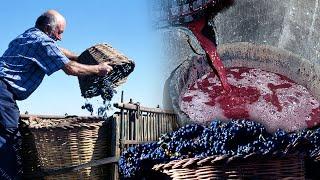 VINO ARTESANO. Proceso tradicional de elaboración y su modernización tecnológica | 1997 | Documental