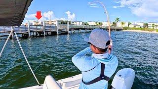 Heavy Structure | Dock Fishing with Live Bait